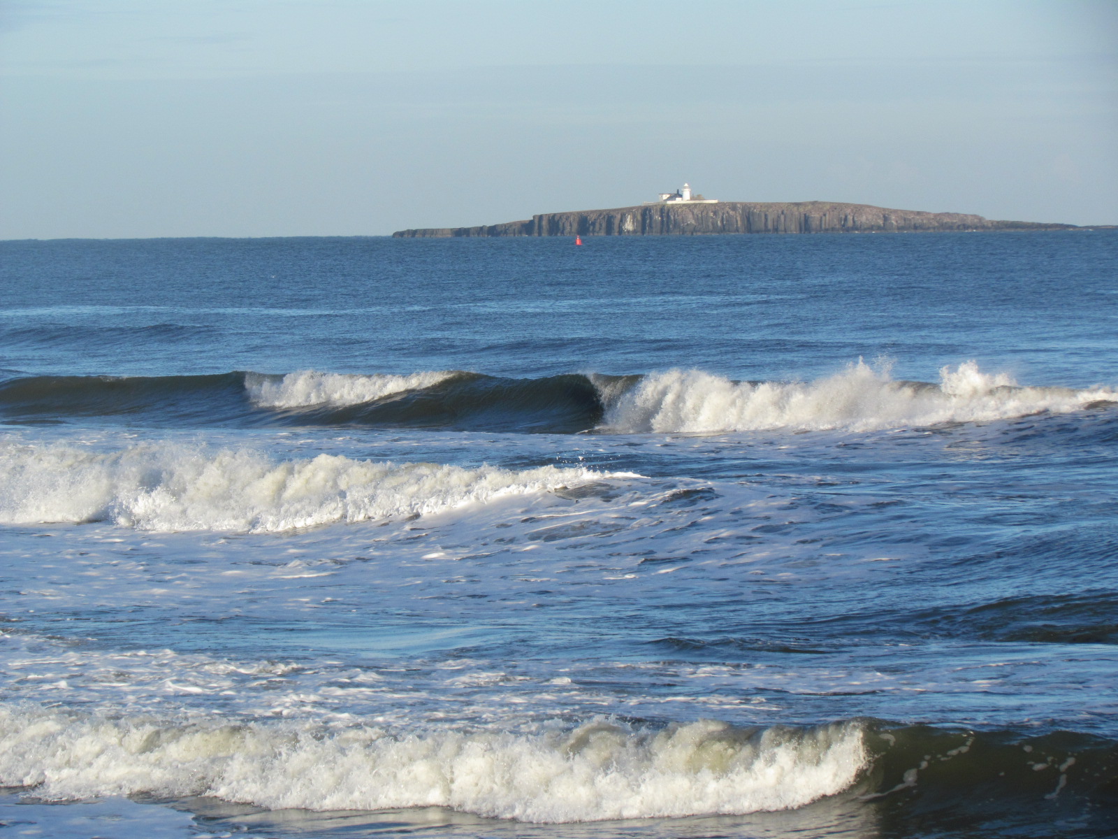 Farne Islands 3