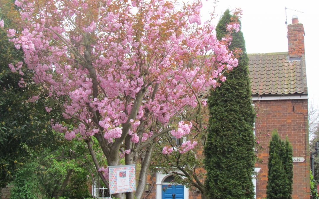 April Flowers