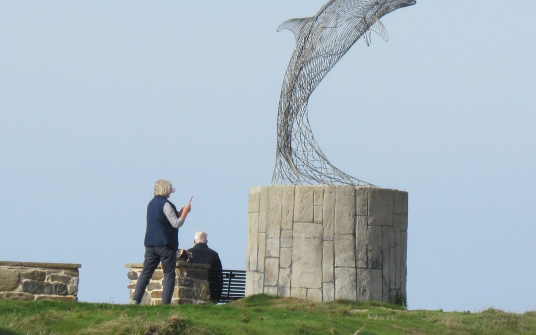 The Dolphin, the Cat and the Ettrick Shepherd